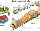 Lịch sử về Giấy, Bột giấy và Bìa