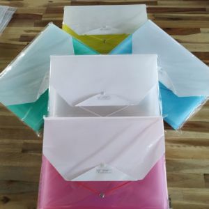 Cặp 12 ngăn nhựa (VC)