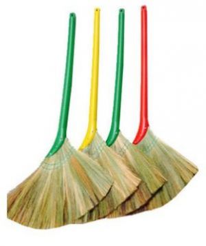Chổi (chổi cỏ dày thường)