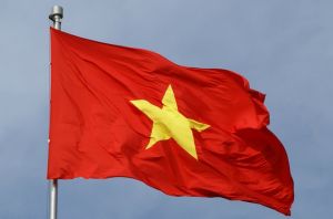 Cờ nước