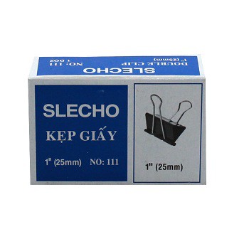25_slecho_01.jpg
